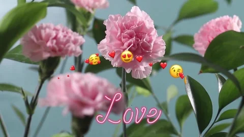 Love video(1) Stock Footage 219760079