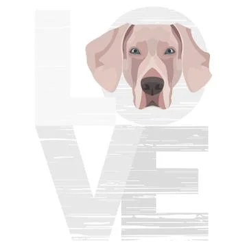 Love Weimaraner. Stock Illustration