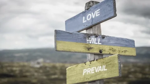 Love will prevail text quote on wooden signpost outdoors, written on the ukra Stock Footage 171028387