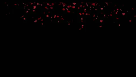 Love2 Stock Footage 134887569