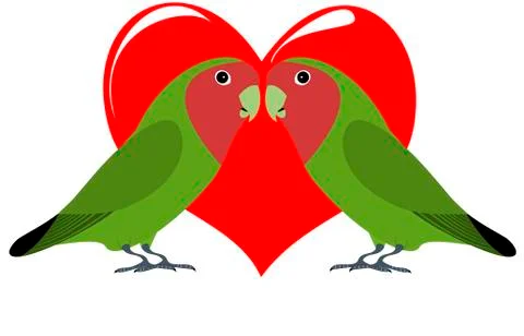 Lovebirds 스톡 일러스트