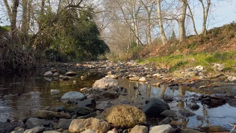Lovely and nice winter stream in the mountain Stock Footage 122043859