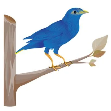 Lovely bird on branch vector design Stock Illustration