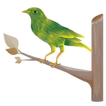 Lovely bird on branch vector design Stock Illustration