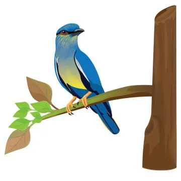 Lovely bird on branch vector design Stock Illustration