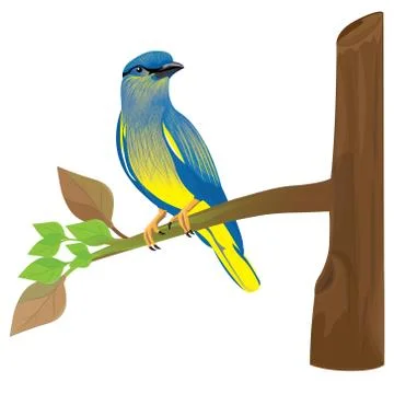 Lovely bird on branch vector design Stock Illustration