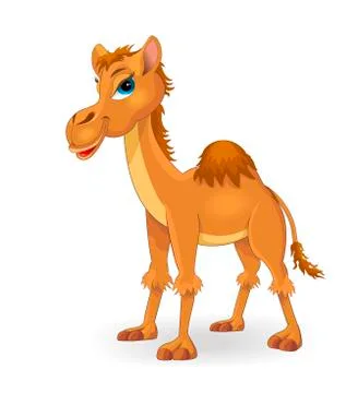 Lovely camel Stock Illustration