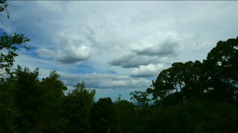 Lovely clouds move over the canopy in time-lapse Video stock 375866