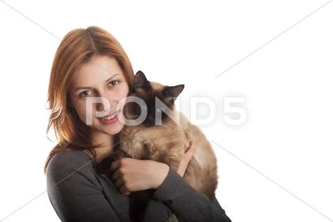 Lovely girl with a siamese cat Stock Photos