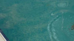 Rear View of Young Beautiful Woman in Swimsuit Taking Off Bathrobe Before  Walking in Pool at Hotel, People Stock Footage ft. adult & bathrobe -  Envato Elements