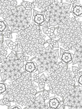 Lovely hydrangea coloring page Stock Illustration