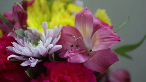 Lovely indoor sunlit bouquet in slow motion, subtle movement Stock Footage