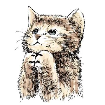 Lovely kitten hand drawn vector イラスト素材