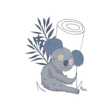 Lovely koala sleeping on tree. Eucalyptus branches with leaves. Marsupial animal Stock Illustration