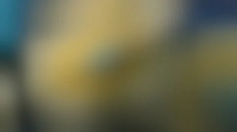 Lovely Light Blurred Background Video stock 68745847