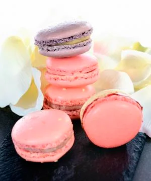 Lovely macarons Stock Photos