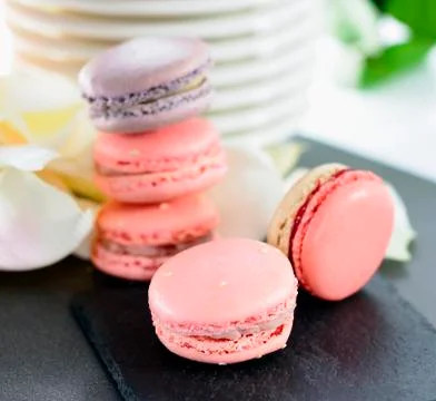 Lovely macarons Stock Photos