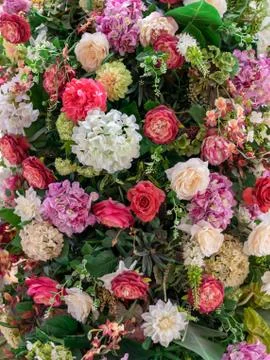 Lovely multifloral background Stock Photos