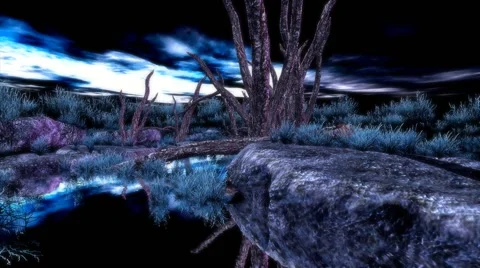 LOVELY NIGHT SCENE Stock Footage 45986667
