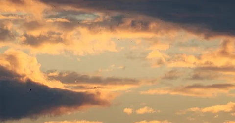 Lovely orange sky Clouds and birds passing on sunset time 4K 库存影片 100609997