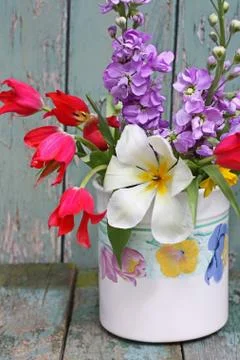 Lovely spring flowers Stock Photos