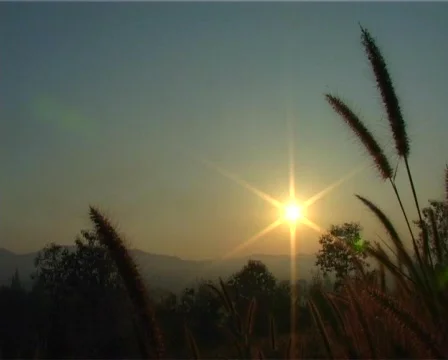 Lovely Sunset Shot 스톡 동영상 505566