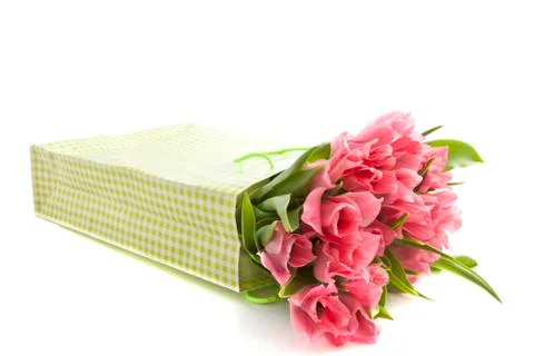 Lovely tulips Stock Photos