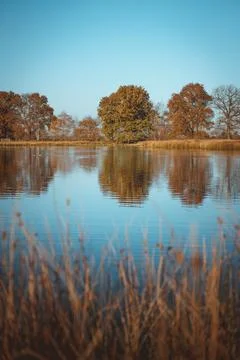 Lovely View over a Small Lake in Drenthe, The Netherlands during Fall or Autu Stock Photos