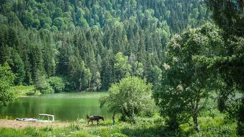 Lovely view Stock Photos