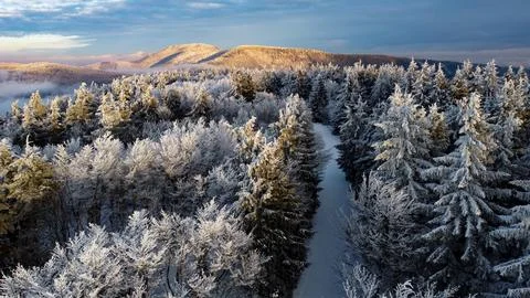 Lovely winter Stock Photos