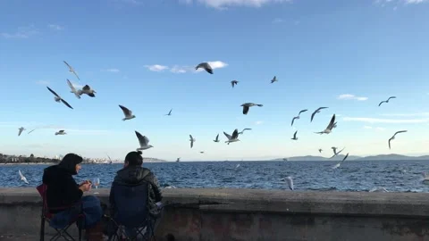 Lover drinking wine on the beach Video stock 145911539