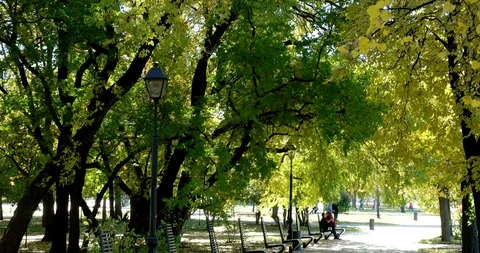 Lover Stock Footage 98029944