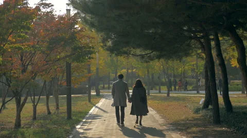 The lover is walking hand in hand in the park. Stock Footage 86451582