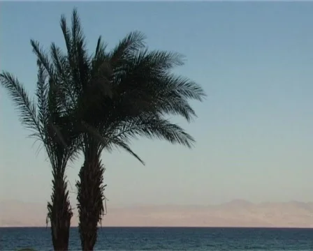 Lovers couple Stock Footage 314539