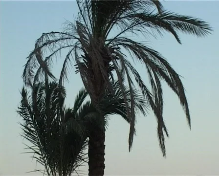 Lovers couple Stock Footage 327207