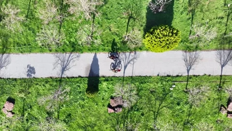 Lovers cycling in the park Vídeo Stock 292618509