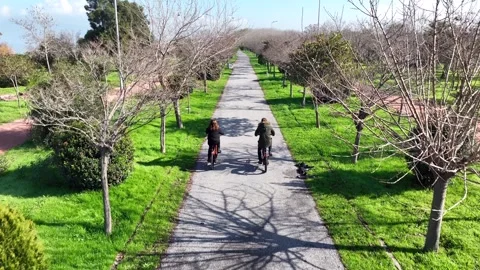 Lovers cycling in the park Stock Footage 292618536