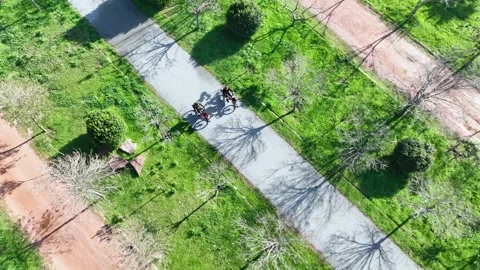 Lovers cycling in the park Stock Footage 292618846