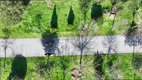 Lovers cycling in the park Stock-Footage 292619194