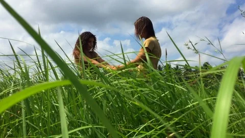 Lovers at the field of green grass Stock Footage 93286057