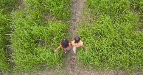 Lovers at the field of green grass Stock Footage 93287731