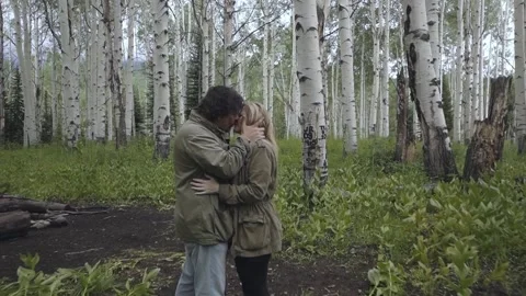 Lovers Stock Footage 248497436