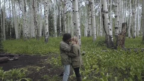 Lovers Stock Footage 248497450