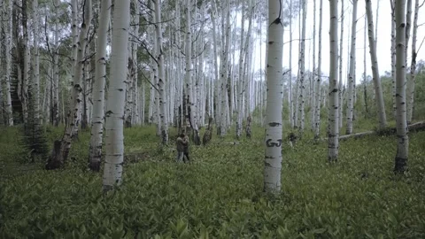 Lovers Stock Footage 248497492