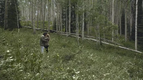 Lovers Stock Footage 248497565