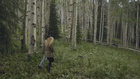 Lovers Stock Footage 248497602