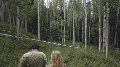 Lovers Stock Footage 248497624