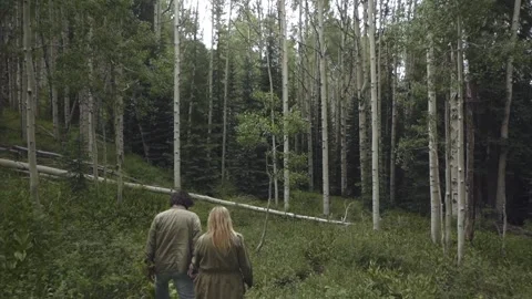 Lovers Stock Footage 248497687