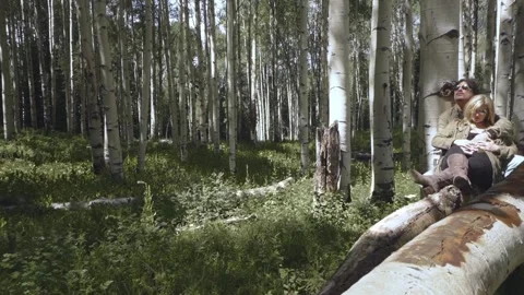 Lovers Stock Footage 248497689