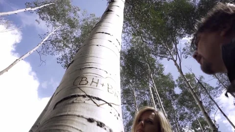 Lovers Stock Footage 248541425